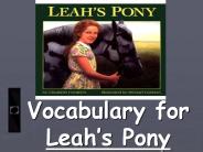 Vocabulary for Leah