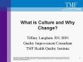 What is Culture and Why Change? PowerPoint PPT Presentation