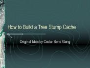 How to Build a Tree Stump Cache