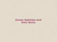 Ocean Habitats and their Biota PowerPoint PPT Presentation