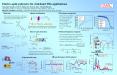 Electro-optic polymers for wideband THz-applications PowerPoint PPT Presentation