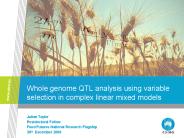Whole genome QTL analysis using variable selection in complex linear mixed models