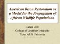 American Bison Restoration as a Model for the Propagation of African Wildlife Populations PowerPoint PPT Presentation
