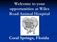 Welcome to your opportunities at Wiles Road Animal Hospital PowerPoint PPT Presentation