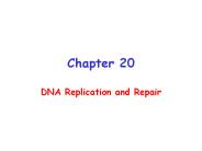 DNA Replication and Repair