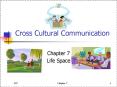 Cross Cultural Communication PowerPoint PPT Presentation