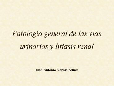 Juan Antonio Vargas N