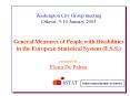 General Measures of People with Disabilities in the European Statistical System (E.S.S.) presented by Elena De Palma PowerPoint PPT Presentation