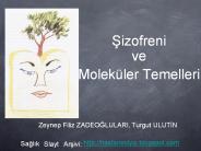 Sizofreni ve Molek