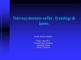 Nervesystemets celler, fysiologi PowerPoint PPT Presentation