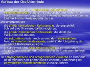 Aufbau der Gro