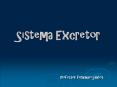 Sistema Excretor PowerPoint PPT Presentation