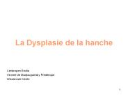 La Dysplasie de la hanche
