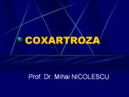 COXARTROZA