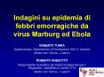 Indagini su epidemia di febbri emorragiche da virus Marburg ed Ebola PowerPoint PPT Presentation