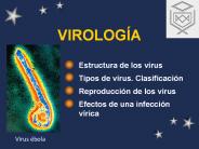 VIROLOG