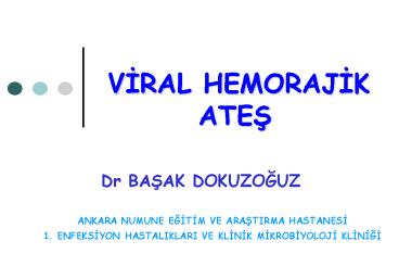 VIRAL HEMORAJIK ATES
