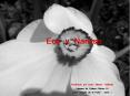 Eco y Narciso PowerPoint PPT Presentation