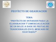 PROYECTO DE GRADUACION