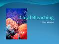 Coral Bleaching PowerPoint PPT Presentation