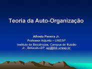 Teoria da Auto-Organiza