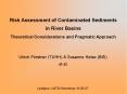 Risk Assessment of Contaminated Sediments in River Basins Theoretical Considerations and Pragmatic Approach PowerPoint PPT Presentation