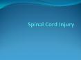 Spinal Cord Injury PowerPoint PPT Presentation