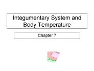 Integumentary System and Body Temperature