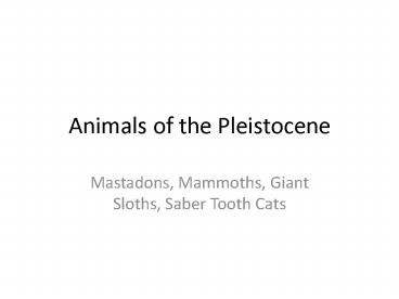 Animals of the Pleistocene