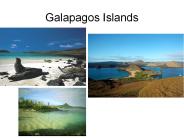 Galapagos Islands