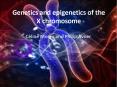 Genetics and epigenetics of the X chromosome PowerPoint PPT Presentation