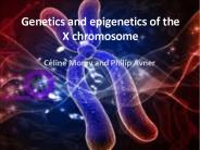 Genetics and epigenetics of the X chromosome
