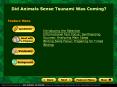 Did Animals Sense Tsunami Was Coming? PowerPoint PPT Presentation