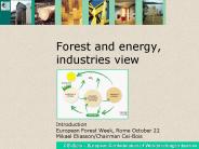 Forest and energy,         industries view