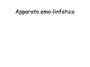 Apparato emo-linfatico