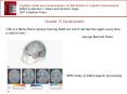 Cognition, Brain and Consciousness: An Introduction to Cognitive Neuroscience PowerPoint PPT Presentation