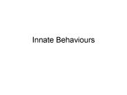 Innate Behaviours