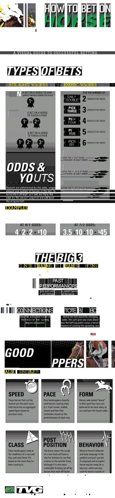 TVG Horse Racing Infographic