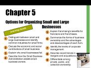 Options for Organizing Small and Large Businesses