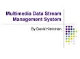 Multimedia Data Stream Management System PowerPoint PPT Presentation