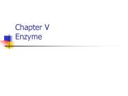 Chapter V Enzyme