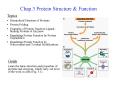 Chap.3 Protein Structure PowerPoint PPT Presentation