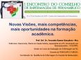 Novas Vis PowerPoint PPT Presentation