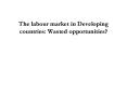 The labour market in Developing countries: Wasted opportunities? PowerPoint PPT Presentation