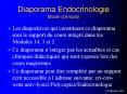 Diaporama Endocrinologie Mode d PowerPoint PPT Presentation