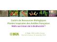 Centre de Ressources Biologiques Plantes tropicales des Antilles fran PowerPoint PPT Presentation