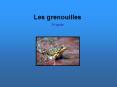 Les grenouilles PowerPoint PPT Presentation