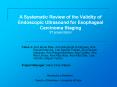 A Systematic Review of the Validity of Endoscopic Ultrasound for Esophageal Carcinoma Staging 3rd presentation PowerPoint PPT Presentation