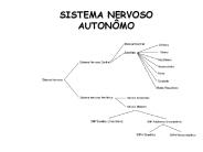SISTEMA NERVOSO AUTON