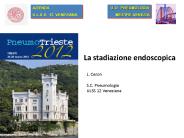 Diapositiva 1